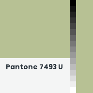 Color chip: Pantone 7493 U