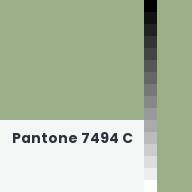 Color chip: Pantone 7494 C