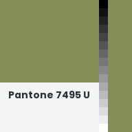 Color chip: Pantone 7495 U