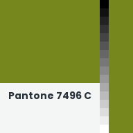 Color chip: Pantone 7496 C