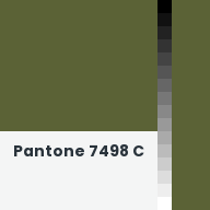Color chip: Pantone 7498 C