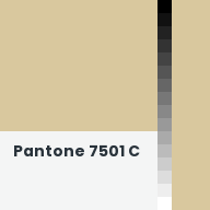 Color chip: Pantone 7501 C