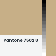 Color chip: Pantone 7502 U