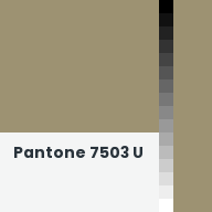 Color chip: Pantone 7503 U