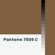 Color chip: Pantone 7505 C