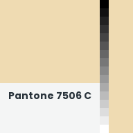 Color chip: Pantone 7506 C