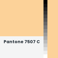 Color chip: Pantone 7507 C