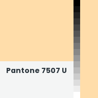 Color chip: Pantone 7507 U