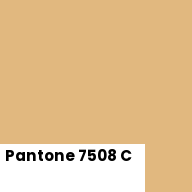 Color chip: Pantone 7508 C