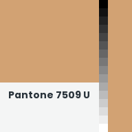 Color chip: Pantone 7509 U