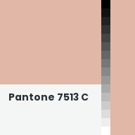 Color chip: Pantone 7513 C