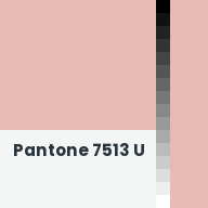 Color chip: Pantone 7513 U