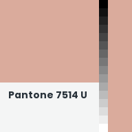Color chip: Pantone 7514 U