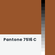 Color chip: Pantone 7516 C