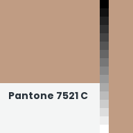 Color chip: Pantone 7521 C