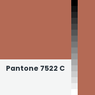 Color chip: Pantone 7522 C