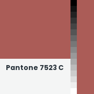 Color chip: Pantone 7523 C