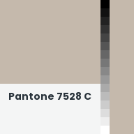 Color chip: Pantone 7528 C