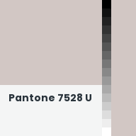 Color chip: Pantone 7528 U