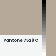 Color chip: Pantone 7529 C