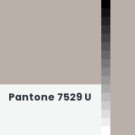 Color chip: Pantone 7529 U