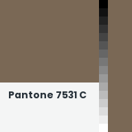 Color chip: Pantone 7531 C