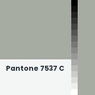 Color chip: Pantone 7537 C