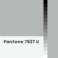 Color chip: Pantone 7537 U