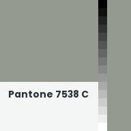 Color chip: Pantone 7538 C