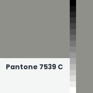 Color chip: Pantone 7539 C