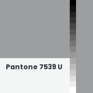 Color chip: Pantone 7539 U