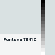 Color chip: Pantone 7541 C