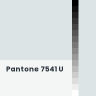 Color chip: Pantone 7541 U