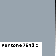 Color chip: Pantone 7543 C