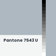 Color chip: Pantone 7543 U