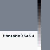 Color chip: Pantone 7545 U