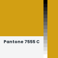Color chip: Pantone 7555 C