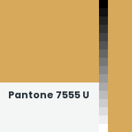 Color chip: Pantone 7555 U