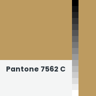 Color chip: Pantone 7562 C
