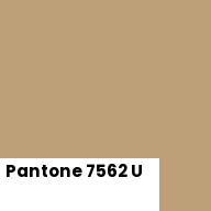 Color chip: Pantone 7562 U