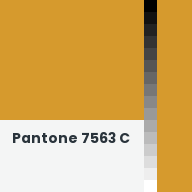 Color chip: Pantone 7563 C