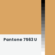 Color chip: Pantone 7563 U