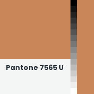 Color chip: Pantone 7565 U