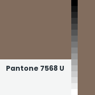 Color chip: Pantone 7568 U