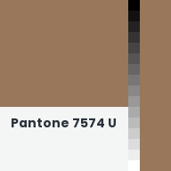 Color chip: Pantone 7574 U