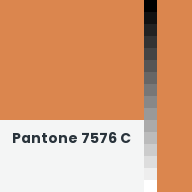 Color chip: Pantone 7576 C