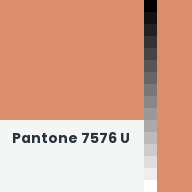 Color chip: Pantone 7576 U