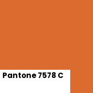 Color chip: Pantone 7578 C