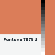 Color chip: Pantone 7578 U