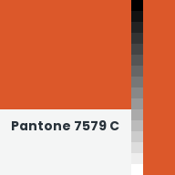 Color chip: Pantone 7579 C